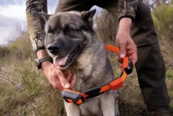 Alpha LTE, hundpejl - Handhållen Gps - Alpha LTE, hundpejl