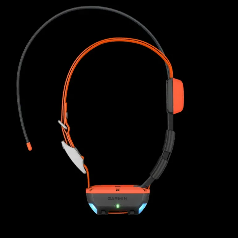 Alpha T20 GPS collar, hundhalsband, GPS - Handhållen Gps - Alpha T20 GPS collar, hundhalsband, GPS