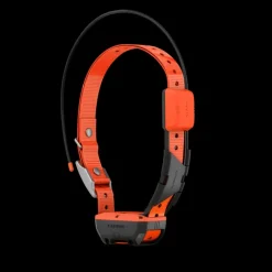 Alpha T20 GPS collar, hundhalsband, GPS - Handhållen Gps - Alpha T20 GPS collar, hundhalsband, GPS