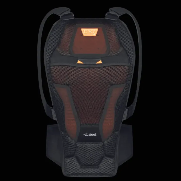 Back Protector VIPER D30 24/25, ryggskydd, unisex - Ryggskydd - Back Protector VIPER D30 24/25, ryggskydd, unisex