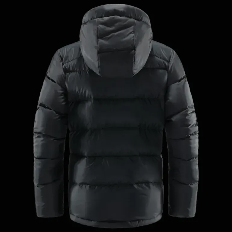 Bield Down Hood, dunjacka, dam - Dunjackor - Bield Down Hood, dunjacka, dam