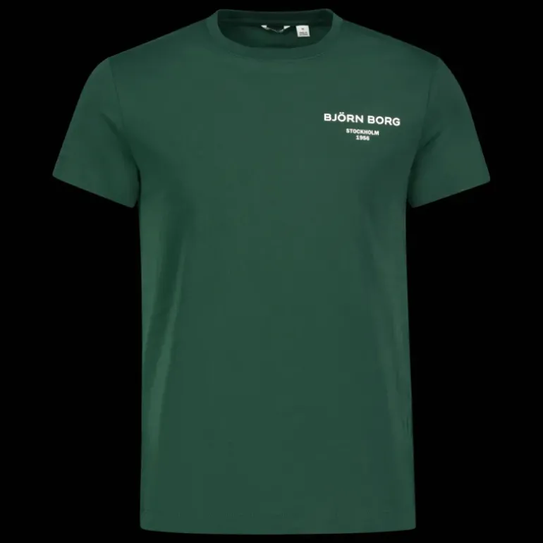 Borg Essential T-shirt, t-shirt, herr - Fritids-T-Shirt - Borg Essential T-shirt, t-shirt, herr