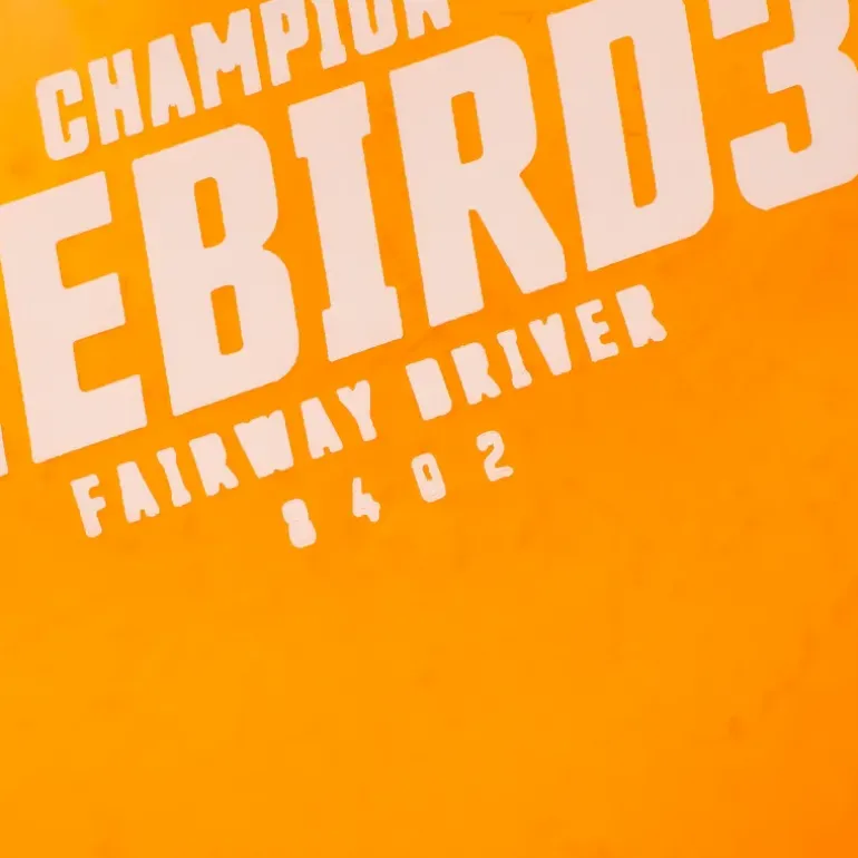 Champion Driver Teebird3, 173-175g, Assorted, driver för discgolf - Discgolf - Champion Driver Teebird3, 173-175g, Assorted, driver för discgolf