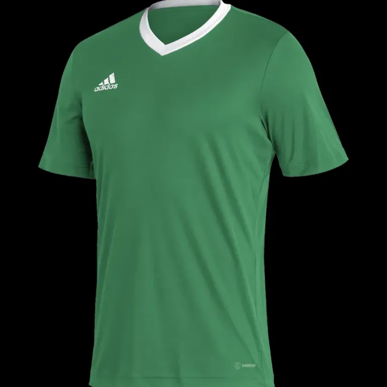 Entrada 22 Jersey t-shirt herr - T-Shirts - Entrada 22 Jersey t-shirt herr