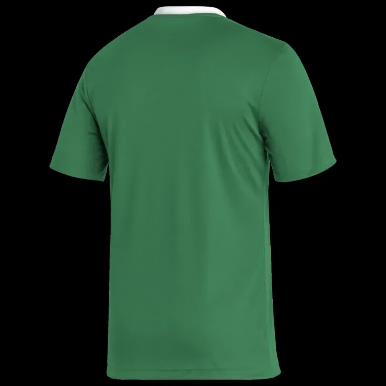 Entrada 22 Jersey t-shirt herr - T-Shirts - Entrada 22 Jersey t-shirt herr