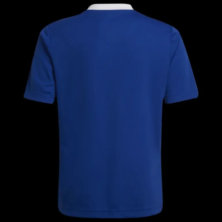 Entrada 22 Jersey, t-shirt junior - T-Shirts - Entrada 22 Jersey, t-shirt junior