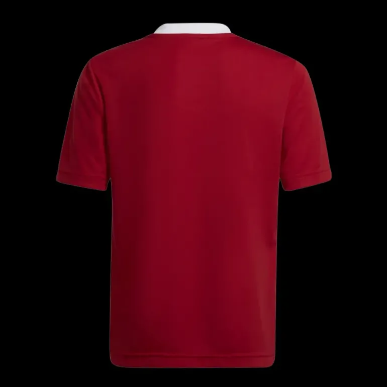 Entrada 22 Jersey, t-shirt junior - T-Shirts - Entrada 22 Jersey, t-shirt junior