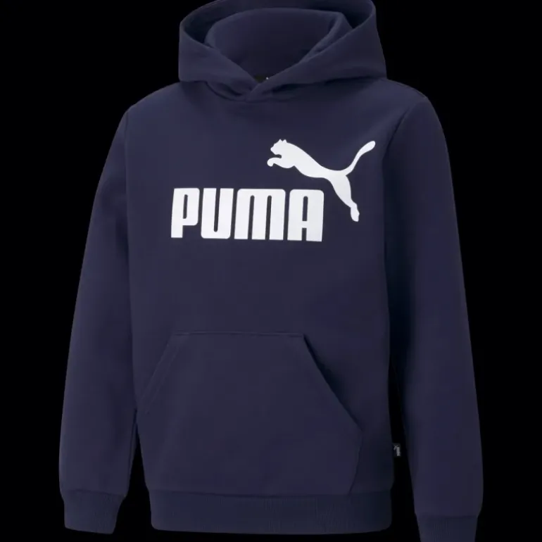 ESS Big Logo Hoodie FL B, huvtröja, junior - Fritidströjor - ESS Big Logo Hoodie FL B, huvtröja, junior