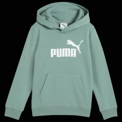 Essential No. 1 Logo Hoodie TR PS, huvtröja, barn - Fritidströjor - Essential No. 1 Logo Hoodie TR PS, huvtröja, barn