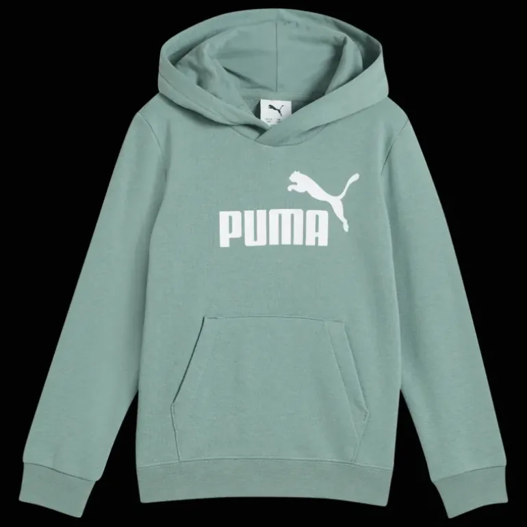 Essential No. 1 Logo Hoodie TR PS, huvtröja, barn - Fritidströjor - Essential No. 1 Logo Hoodie TR PS, huvtröja, barn