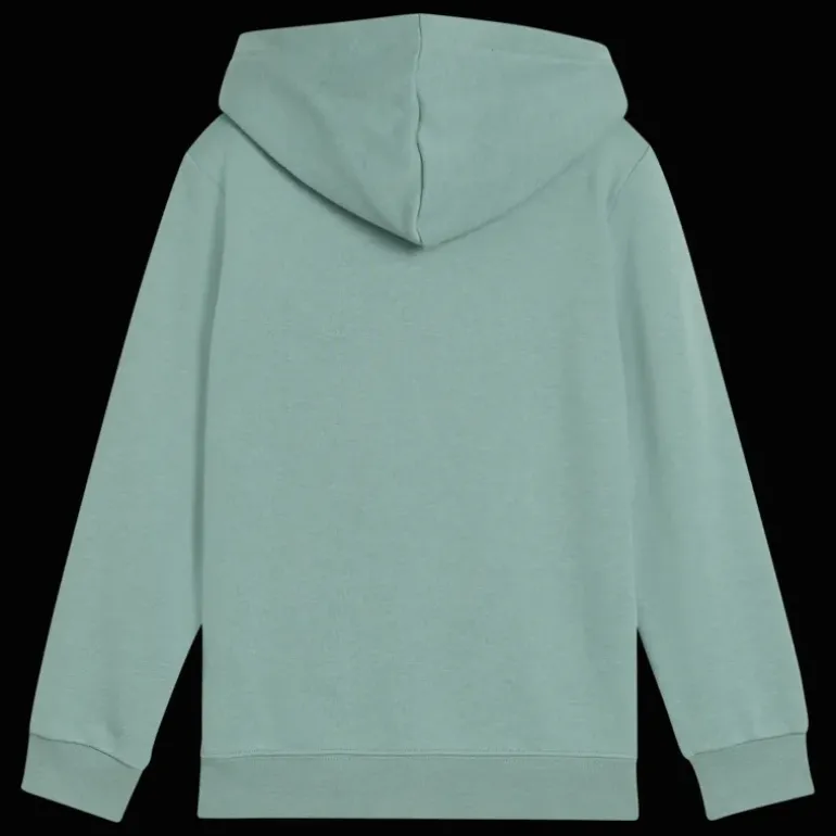 Essential No. 1 Logo Hoodie TR PS, huvtröja, barn - Fritidströjor - Essential No. 1 Logo Hoodie TR PS, huvtröja, barn