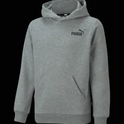 Essentials Small Logo Hoodie, huvtröja junior - Fritidströjor - Essentials Small Logo Hoodie, huvtröja junior