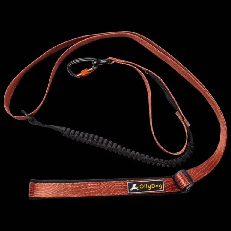 Flagstaff Adjustable Spring Leash - Koppel & Halsband - Flagstaff Adjustable Spring Leash