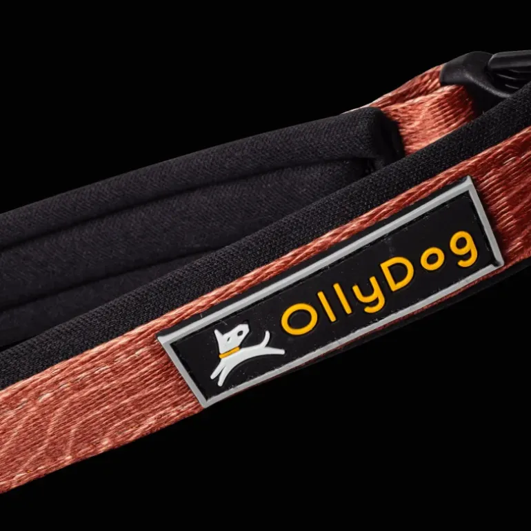 Flagstaff Adjustable Spring Leash - Koppel & Halsband - Flagstaff Adjustable Spring Leash