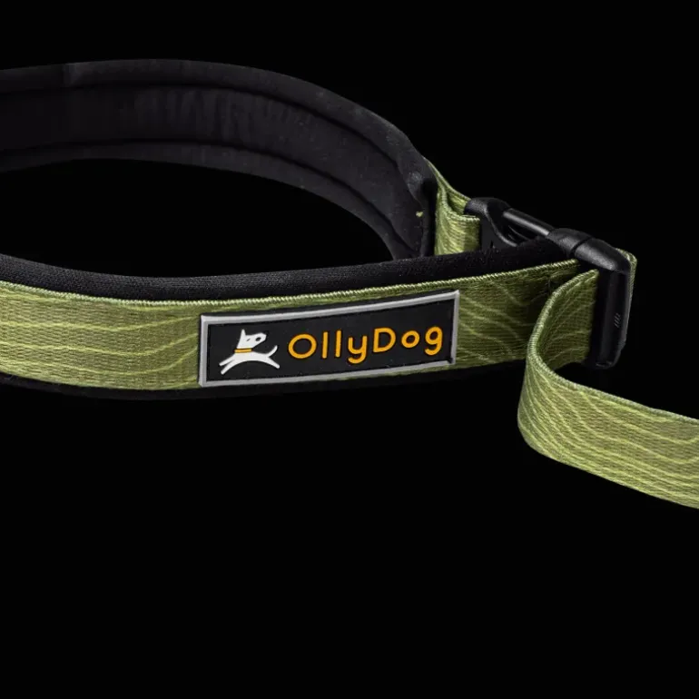 Flagstaff Adjustable Spring Leash - Koppel & Halsband - Flagstaff Adjustable Spring Leash