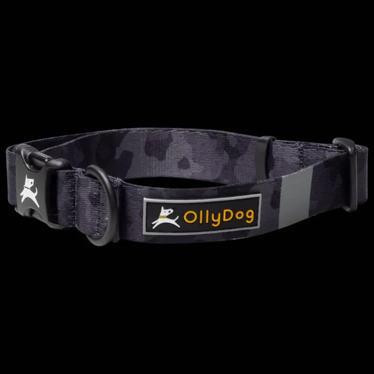 Flagstaff Collar, hundhalsband - Koppel & Halsband - Flagstaff Collar, hundhalsband