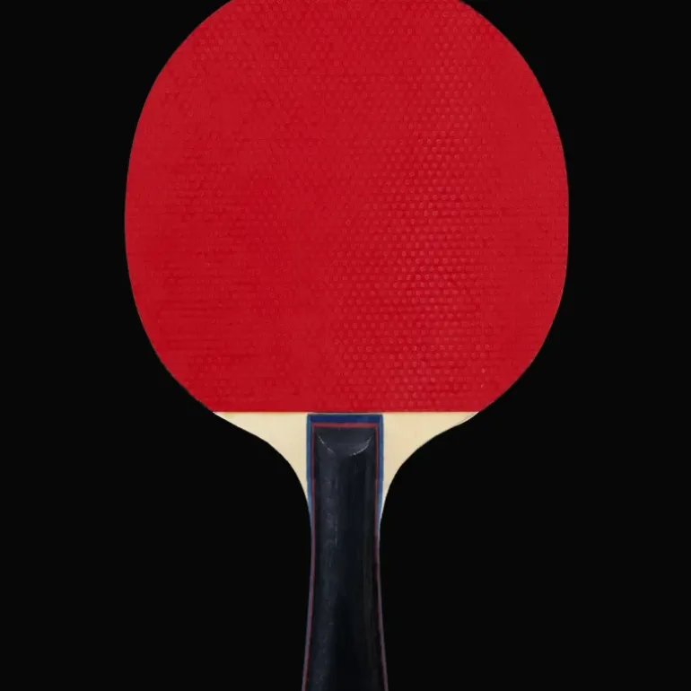 FZ Classic Table Tennis 1-Star , bordtennisracket för nybörjare, unisex - Bordtennisracketar - FZ Classic Table Tennis 1-Star , bordtennisracket för nybörjare, unisex
