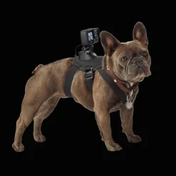 GoPro Fetch (Dog Harness) - Camera accessories - GoPro Fetch (Dog Harness)