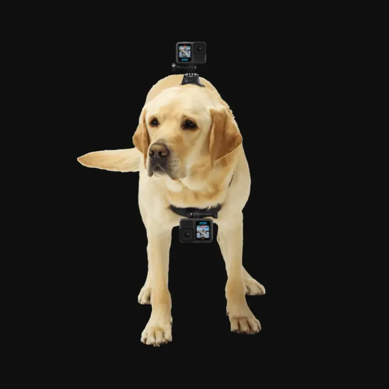 GoPro Fetch (Dog Harness) - Camera accessories - GoPro Fetch (Dog Harness)