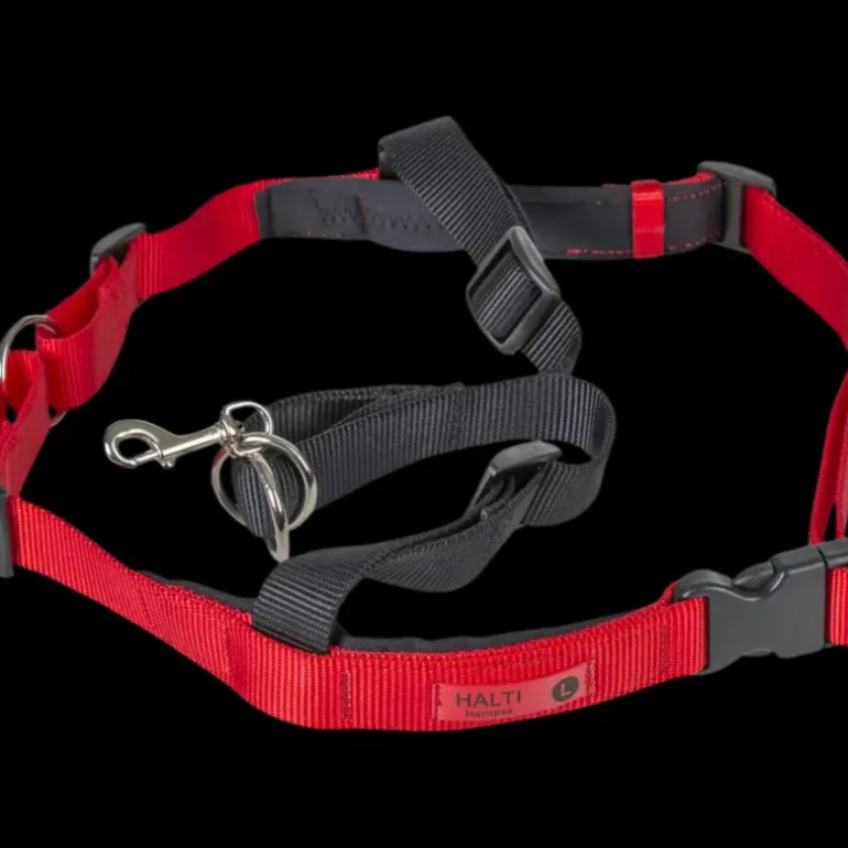 Halti Treningssele S - Koppel & Halsband - Halti Treningssele S