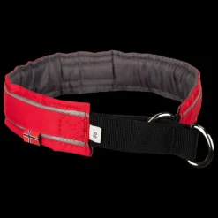 Halvstryp, hundhalsband - Koppel & Halsband - Halvstryp, hundhalsband