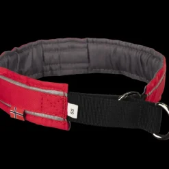 Halvstryp, hundhalsband - Koppel & Halsband - Halvstryp, hundhalsband