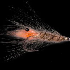 Laser Shrimp #6 - Flugor - Laser Shrimp #6