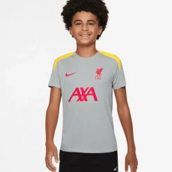Liverpool FC Dri-FIT Strike Short Sleeve Top K3R, träningströja, junior - Premier League - Liverpool FC Dri-FIT Strike Short Sleeve Top K3R, träningströja, junior