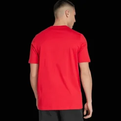 Manchester United Dna Graphic Tee, t-shirt, herr - Premier League - Manchester United Dna Graphic Tee, t-shirt, herr