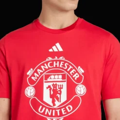Manchester United Dna Graphic Tee, t-shirt, herr - Premier League - Manchester United Dna Graphic Tee, t-shirt, herr