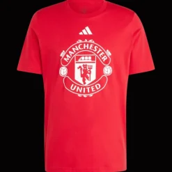 Manchester United Dna Graphic Tee, t-shirt, herr - Premier League - Manchester United Dna Graphic Tee, t-shirt, herr