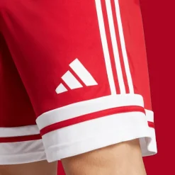 Squadra 25 Shorts, fotbollsshorts, herr - Shorts - Squadra 25 Shorts, fotbollsshorts, herr