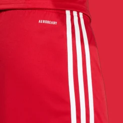 Squadra 25 Shorts, fotbollsshorts, herr - Shorts - Squadra 25 Shorts, fotbollsshorts, herr