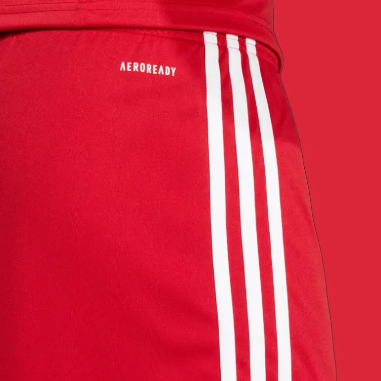 Squadra 25 Shorts, fotbollsshorts, herr - Shorts - Squadra 25 Shorts, fotbollsshorts, herr