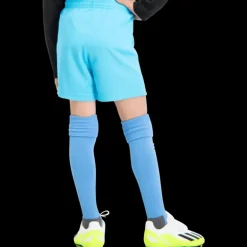 teamLIGA Shorts, fotballshorts junior - Shorts - teamLIGA Shorts, fotballshorts junior