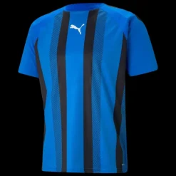 teamLIGA Striped Jersey Jr, träningströja junior - T-Shirts - teamLIGA Striped Jersey Jr, träningströja junior
