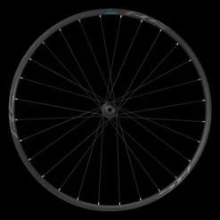 WH-RS171 Front wheel disc, Centerlock, 12x100, clincher, cykelfälg - Cykelhjul - WH-RS171 Front wheel disc, Centerlock, 12x100, clincher, cykelfälg